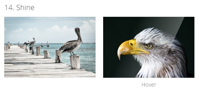 15 CSS Image Hover Effects